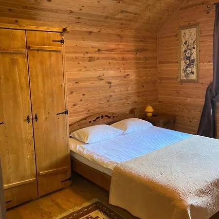 Holiday park Adelis Yaremche